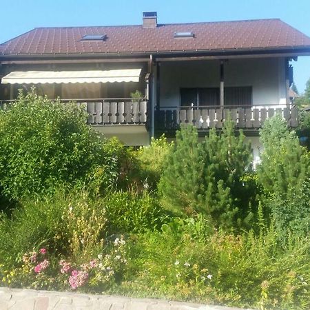 Haus Akelei Apartman Todtmoos Kültér fotó