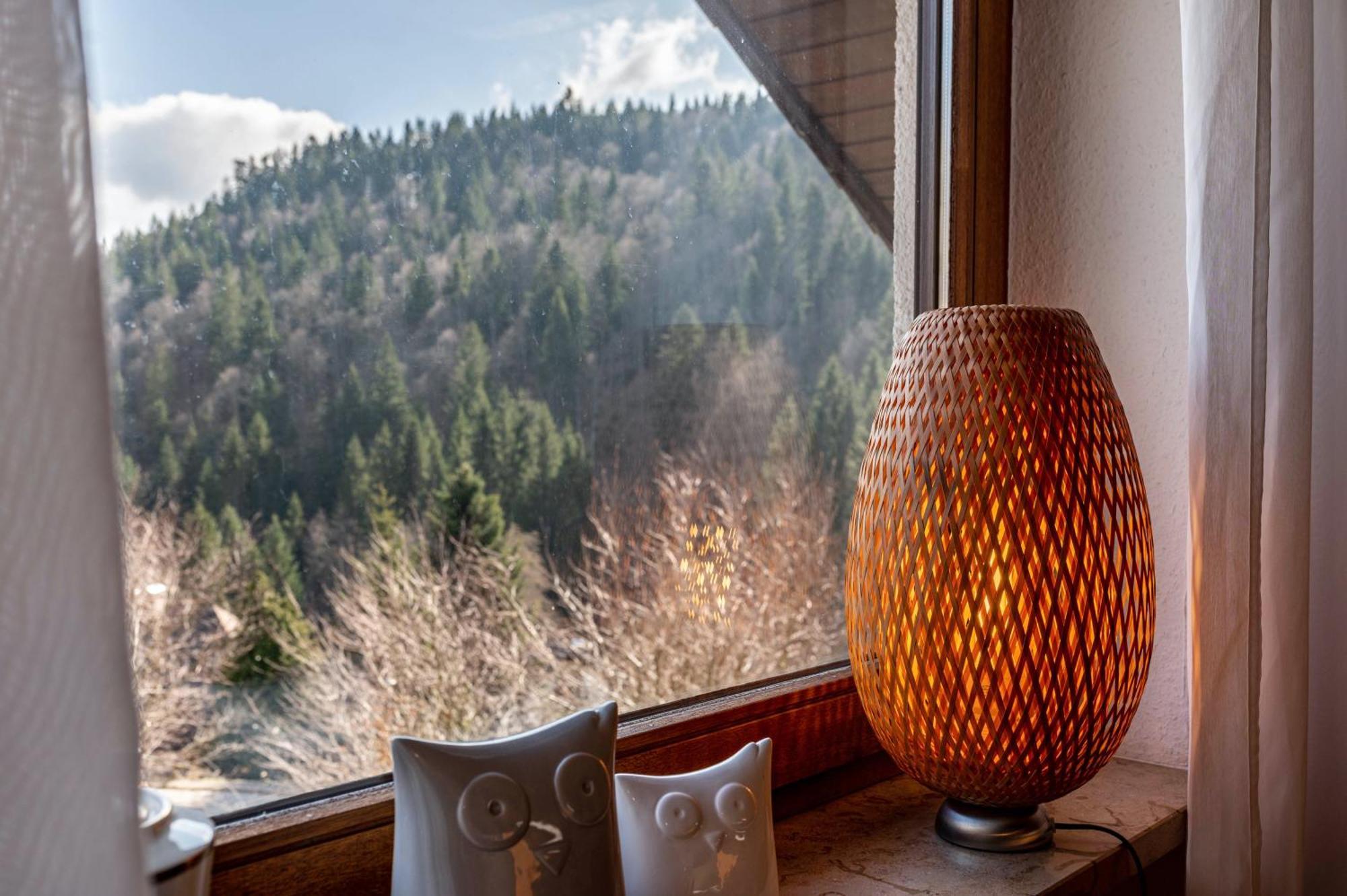 Haus Akelei Apartman Todtmoos Kültér fotó
