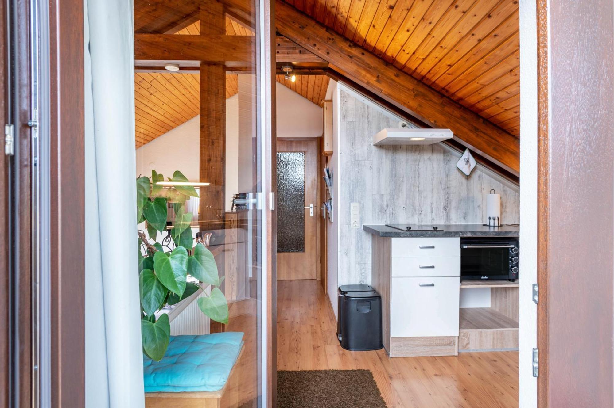 Haus Akelei Apartman Todtmoos Kültér fotó