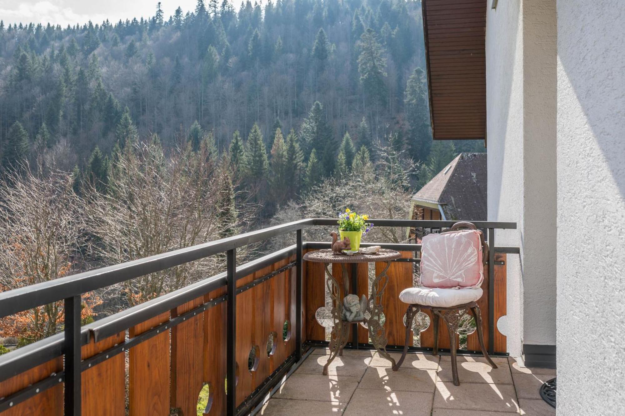 Haus Akelei Apartman Todtmoos Kültér fotó