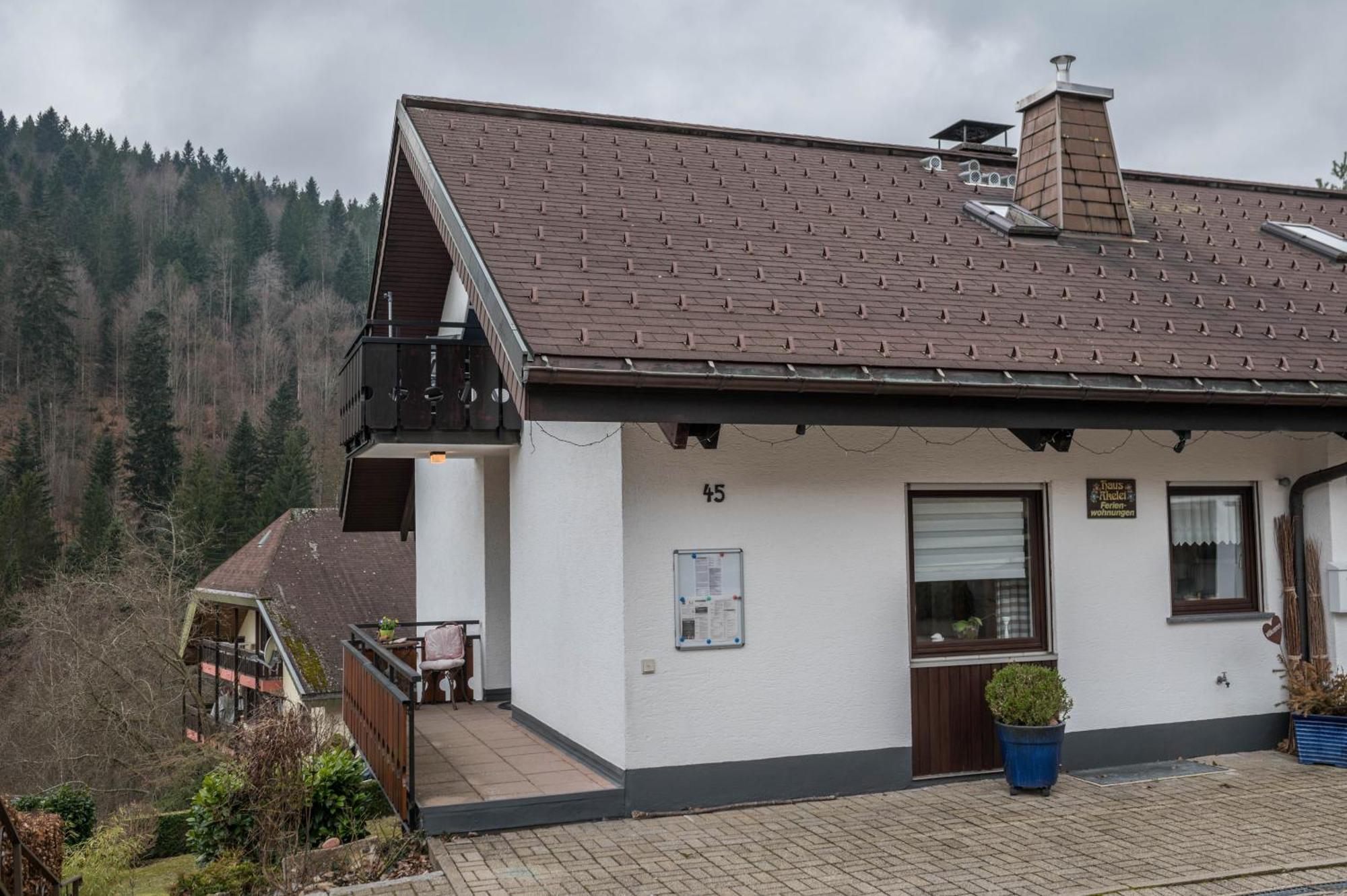 Haus Akelei Apartman Todtmoos Kültér fotó