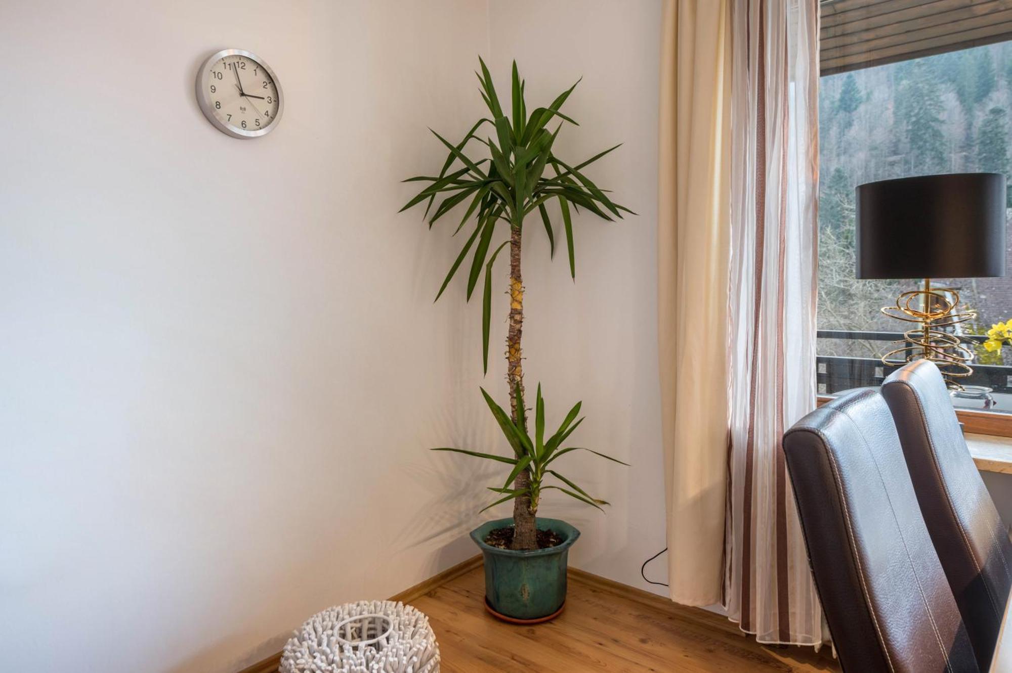 Haus Akelei Apartman Todtmoos Kültér fotó